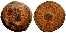 Roman provincial bronze coin Artifically sand patina
19mm 5,62g
Artificial sand patina