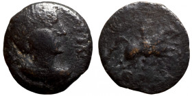 Judaea

16mm 2,00g