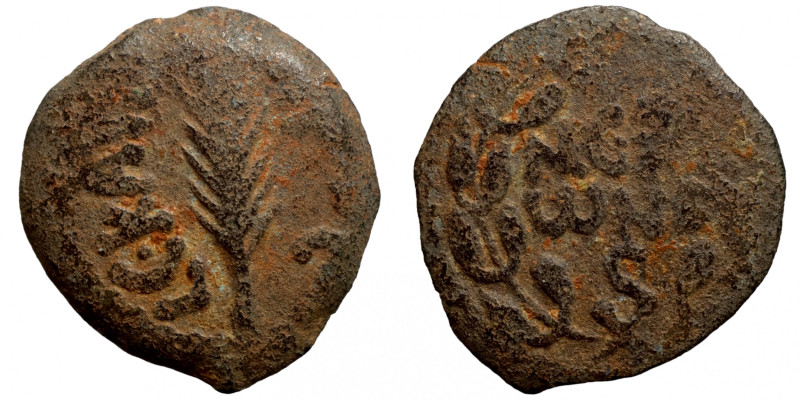 JUDAEA PROCURATORS. Procuis Festus, AD. 59-62. Æ
15mm 2,00g