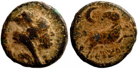 Seleucis Kingdom Greek Coin 1-4 BC Century
17mm 4,40g
Artificial sand patina