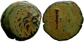 Seleucis Kingdom Greek Coin 1-4 BC Century
14mm 3,50g
Artificial sand patina