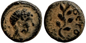 Seleucis Kingdom Greek Coin 1-4 BC Century
10mm 1,87g
Artificial sand patina