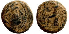 Seleucis Kingdom Greek Coin 1-4 BC Century
13mm 3,00g
Artificial sand patina