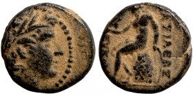 Seleucis Kingdom Greek Coin 1-4 BC Century
14mm 2,79g
Artificial sand patina