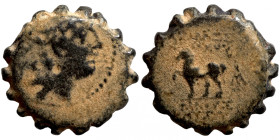Seleucis Kingdom Greek Coin 1-4 BC Century
15mm 3,14g
Artificial sand patina