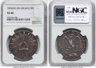 Republic 8 Reales 1836 Do-RM XF40 NGC, Durango mint, KM377.4, DP-Do13 ("Slightly Scarce"). HID09801242017 © 2024 Heritage Auctions | All Rights Reserv...