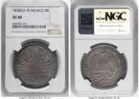 Republic 8 Reales 1828 Ga-FS XF40 NGC, Guadalajara mint, KM377.6, DP-Ga04. A handsome problem-free example of this very scarce, early date Guadalajara...