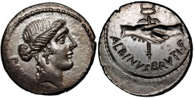Roman Republic, D. Iunius Brutus Albinus 48 BC, Denar, Rome