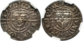 Teutonic Order, Paul von Russdorff 1422-1441, Schilling