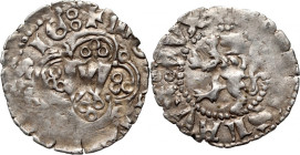 Władysław Opolczyk 1372-1379, kwartnik ruski, Lwów