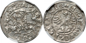 Aleksander Jagiellończyk 1501-1506, półgrosz bez daty, Wilno