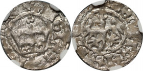 Jan Olbracht 1492-1501, półgrosz bez daty, Kraków MAX