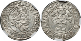 Zygmunt I Stary, grosz 1538, Gdańsk MAX