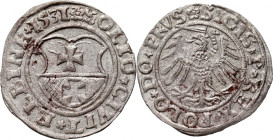 Zygmunt I Stary, szeląg 1531, Elbląg