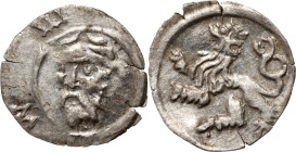 Śląsk, Zygmunt Luksemburczyk 1419-1437, halerz bez daty, Wrocław