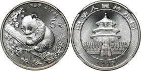 China, 5 Yuan 1995, Panda