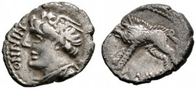 Keltische Münzen 
 Gallia 
 Rauraci (Helvetier) 
 Quinar ca. 55 v. Chr. Ähnlich wie vorher, jedoch auf dem Revers mit MAVC. LT 9355, HMZ 1-32a, Sch...