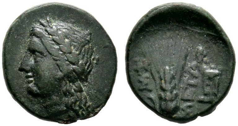 Griechische Münzen 
 Lukania 
 Metapont. Bronzemünze (AE-15 mm) 300-250 v. Chr...
