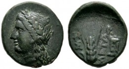 Griechische Münzen 
 Lukania 
 Metapont. Bronzemünze (AE-15 mm) 300-250 v. Chr. Kopf des Apollon nach links / Ähre und Dreifuß. SNG ANS 595, Johnsto...
