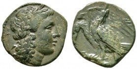 Griechische Münzen 
 Sizilien 
 Akragas 
 Bronzemünze (AE-18 mm) ca. 278-240 v. Chr. Kopf des Apollon nach rechts / Zwei Adler auf Hasen. Calciati ...