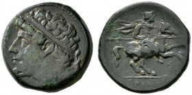 Griechische Münzen 
 Sizilien 
 Hieron II. 275-215 v. Chr 
 Bronzemünze (AE-27 mm). Büste des Hieron mit Diadem und Taenia nach links / Reiter mit ...