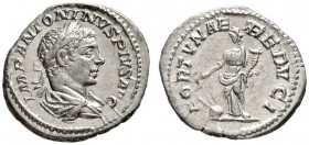Römische Münzen 
 Kaiserzeit 
 Elagabalus 218-222 
 Denar -Rom-. IMP ANTONINVS PIVS AVG. Belorbeerte und drapierte Panzerbüste nach rechts / FORTVN...