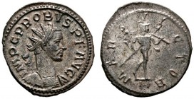 Römische Münzen 
 Kaiserzeit 
 Probus 276-282 
 Antoninian -Lugdunum-. IMP C PROBVS P F AVG. Drapierte Panzerbüste mit Strahlenkrone nach rechts / ...