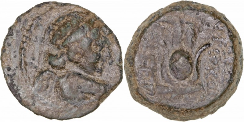 Monedas Antiguas
 Reino Seleucida
 Antioco VII
 AE-18. (138-129 a.C.). A/Bust...