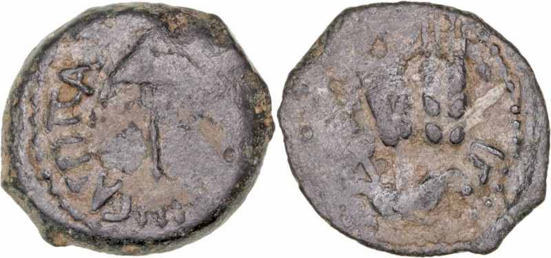Monedas Antiguas
 Judea
 Agripa I
 Prutah. AE. (37-44 d.C.). A/Sombrilla y le...