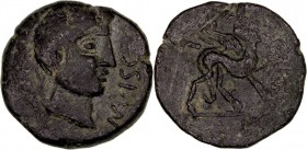 Monedas de la Hispania Antigua
 Castulo, Cazlona (Jaén) 
 As. AE. A/Cabeza masculina laureada a der., delante ley. R/Esfinge a der., alrededor (ley....
