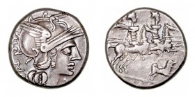 República Romana
 Antestia
 Denario. AR. Roma. (146 a.C.). A/Cabeza de Roma a der., delante (X) y detrás (C· ANTE-STI). R/Los Dioscuros a caballo a ...