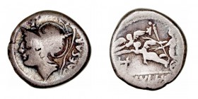 República Romana
 Julia
 Denario. AR. Roma. (103 a.C.). A/Cabeza de Marte a izq., encima (letra) y detrás CAESAR. R/Venus en biga a izq. tirada por ...