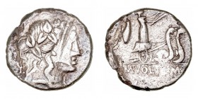 República Romana
 Volteia
 Denario. AR. Roma. (78 a.C.). A/Cabeza de Baco a der. R/Ceres con dos antorchas en biga, arrastrada por serpientes a der....