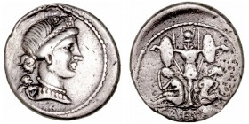 Monedas Pre-Imperiales
 Julio César
 Denario. AR. (46-45 a.C.). A/Cabeza diademada de Venus a der., detrás cupido. R/Trofeo de armas galas en medio ...