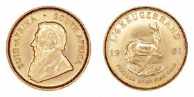 Monedas Extranjeras
 Sudáfrica 
 1/4 Krugerrand. AV. 1981. 8.51g. KM.106. SC.
