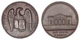 Medallas
 Medalla. Zinc. Pacificación de Suiza, 1803. Grabador Andrieu. 35.52g. 44.00mm. Golpes en listel. Rara. MBC.