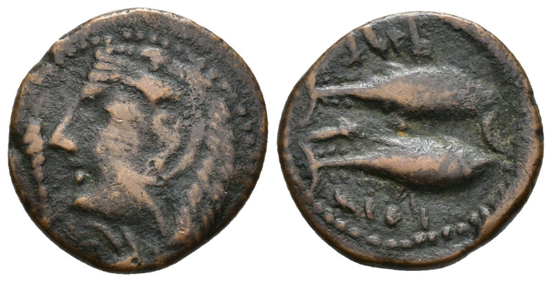 HISPANIA ANTIGUA. GADIR. Mitad. A/ Cabeza de Melkart con leonté a izq., delante ...