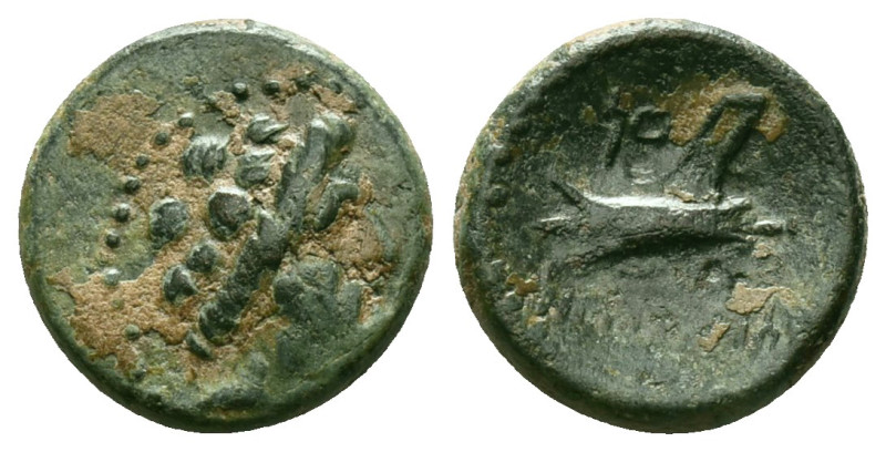 Greek Coins
Phoenicia, Arados. 206/5-52/1 B.C. Æ . CY 113 (147/6 B.C.). Laureat...