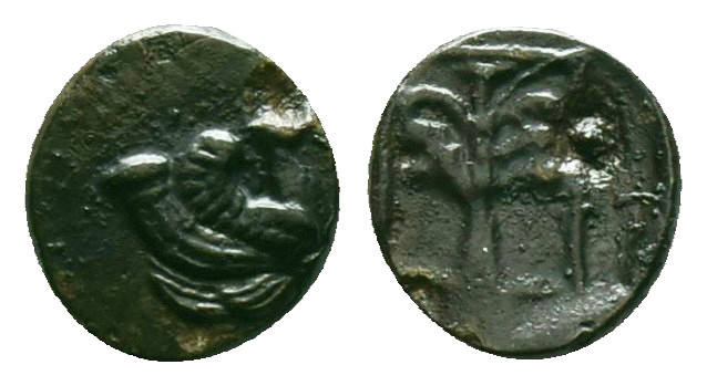 Greek
Greek
TROAS, Skepsis (Circa 400-310 BC).
AE Bronze
Forepart of Pegasos...