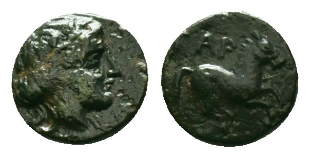 Greek
Gargara AE, head of Apollo / horse
Gargara , Troas. c. late 3rd to early...