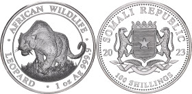 Somalia 100 Shillings 2023

KM# 418, N# 365903; Silver., Proof; African Wildlife - Leopard; Mintage 30000 pcs.