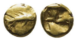 MYSIA. Kyzikos. Circa 600-550 BC. 1/24 Stater (0.65 Gr. 6mm.). 
Tunny swimming to right. 
Rev. Quadripartite incuse square.