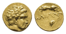 KINGS OF MACEDON. Philip II, 359-336 BC. 1/12 Stater (Gold, 8mm, 0.71 g), Pella, circa 345/2-328. Laureate head of Apollo to right. Rev. ΦΙΛΙΠΠΟΥ Thun...