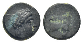 Aeolis, Aigai, 2nd-1st centuries BC. Æ (10mm, 1.22 g). Helmeted head of Athena r. R/ Forepart of goat r.