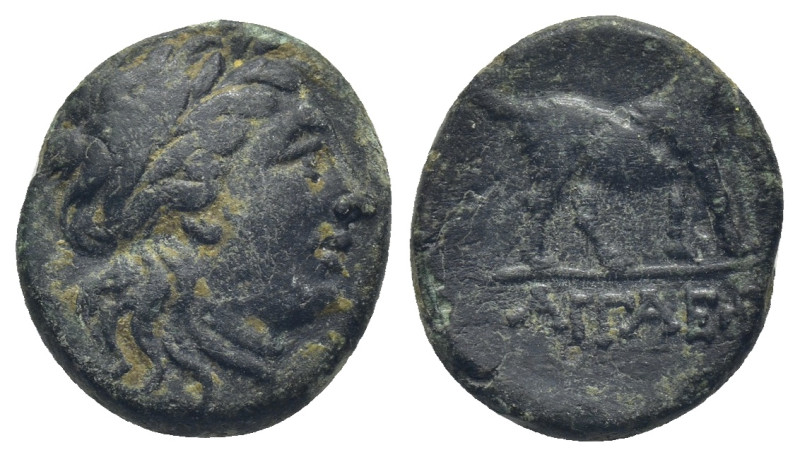 Aiolis, Aigai. 3rd century B.C. AE (16mm, 3.4 g). Head of Apollo right / AIΓAEΩN...