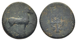 CARIA. Mylasa. Ae (13mm, 1.28 g) (3rd-2nd centuries BC). Obv: Horse walking right. Rev: M - Y. Decorated trident.