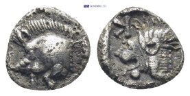 Mysia. Kyzikos circa 450-400 BC. Obol AR (9 mm, 0,8 g) Forepart of boar left; to right, tunny upward / Head of roaring lion left; retrograde K to uppe...