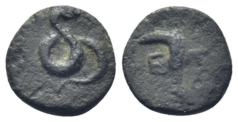 PISIDIA. Etenna. (Circa 100-0 BC). AE. (1.22 Gr. 12mm.)
Coiled snake. 
Rev: E - ...