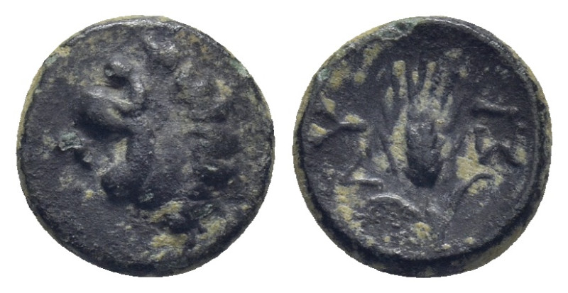 THRACE. Lysimacheia. Ae (10mm, 1.18 g) (Circa 225-199/8 BC). Obv: Head of lion l...