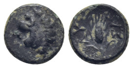 THRACE. Lysimacheia. Ae (10mm, 1.18 g) (Circa 225-199/8 BC). Obv: Head of lion left. Rev: ΛΥ - ΣΙ. Grain ear; uncertain control to lower left.